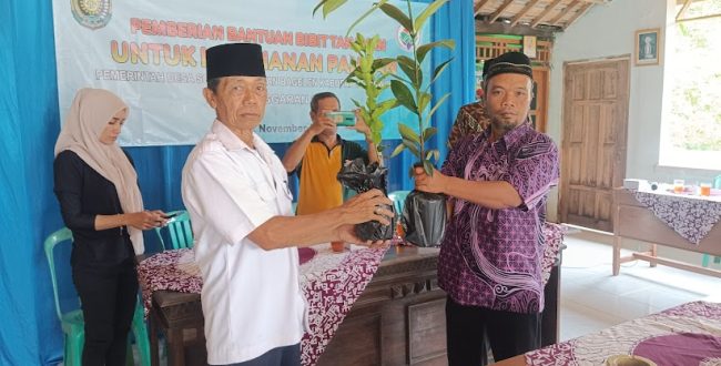 Pemerintah Desa Soko Berikan Bibit Manggis dan Jeruk untuk Ketahanan Pangan Warga Desa