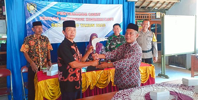 PEMERINTAH DESA SOKO BAGIKAN SABIT UNTUK 142 PETERNAK KAMBING/SAPI