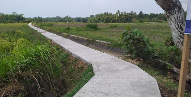 Membangun Jalan Usaha Tani: Peningkatan Akses Petani untuk Kemudahan Transportasi Pertanian